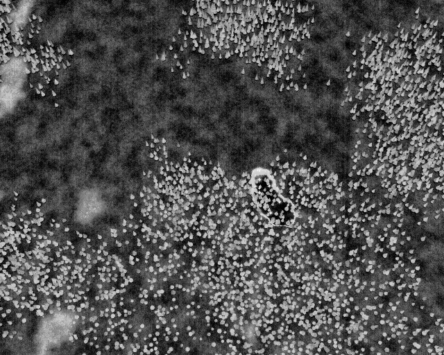 The same synthetic world seen through a deployed camera's plateau-histogram-equalization AGC pipeline