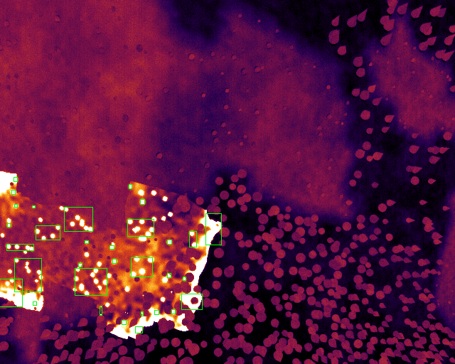 burn scar with ember speckle and an active head.