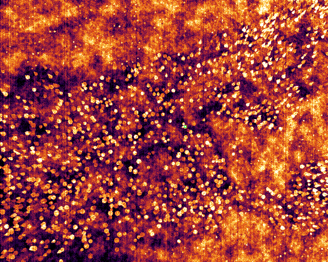 the hard case — an incipient night fire down in the sensor noise.